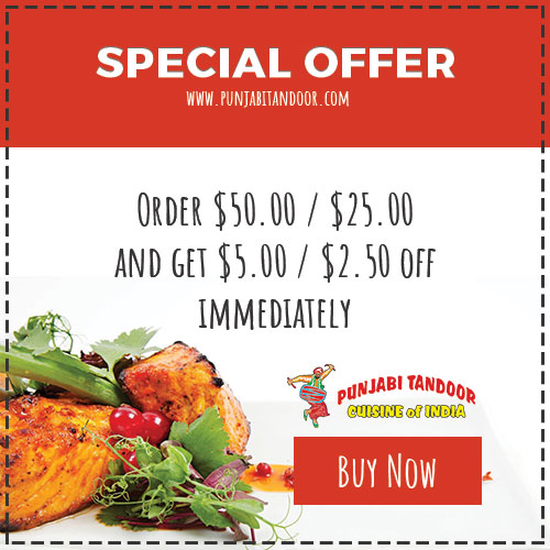 Special Offer - Punjabi Tandoor